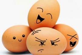 Dlaczego warto jeść jajka?